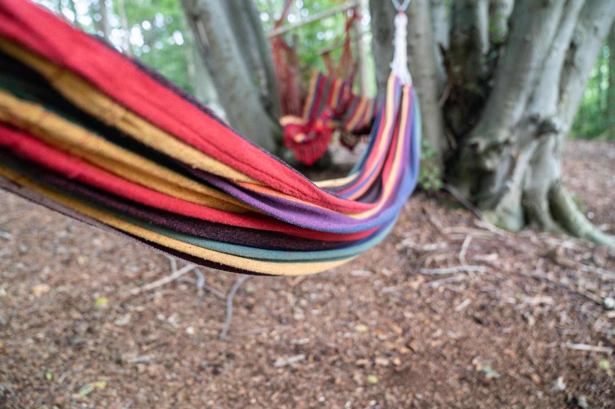 Gite 9 Personnes Fecamp Etretat Colleville エクステリア 写真