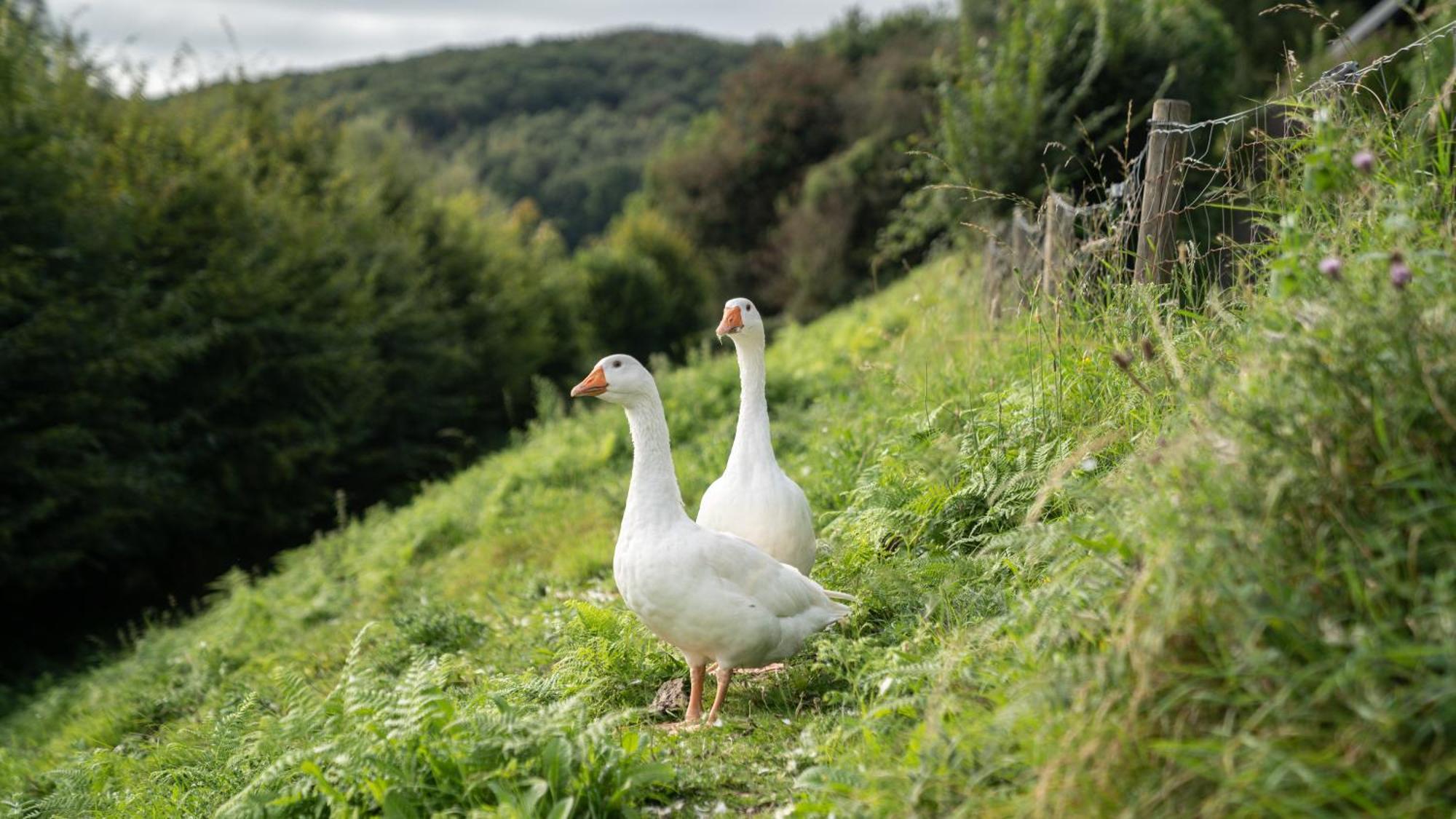 Gite 9 Personnes Fecamp Etretat Colleville エクステリア 写真