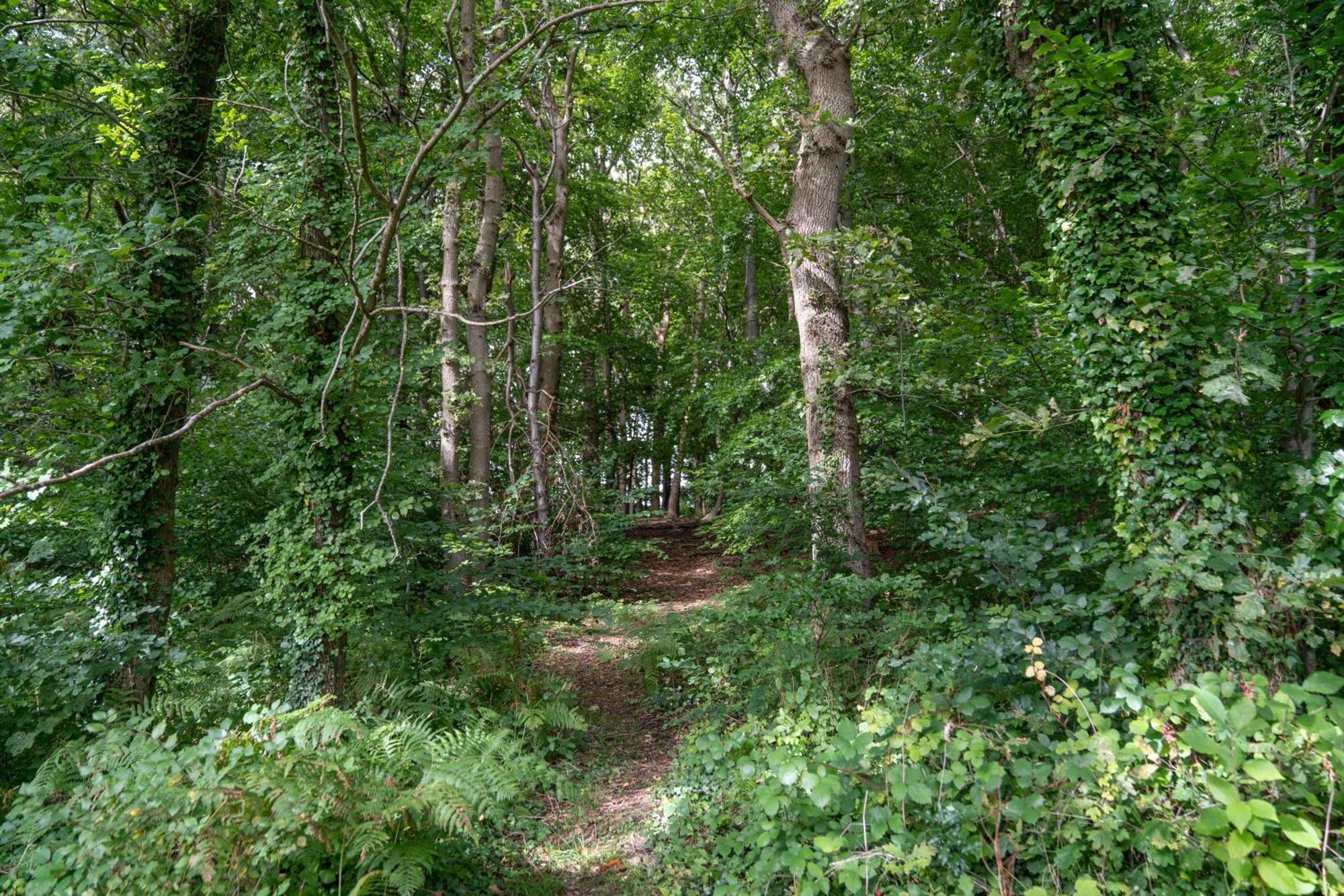 Gite 9 Personnes Fecamp Etretat Colleville エクステリア 写真