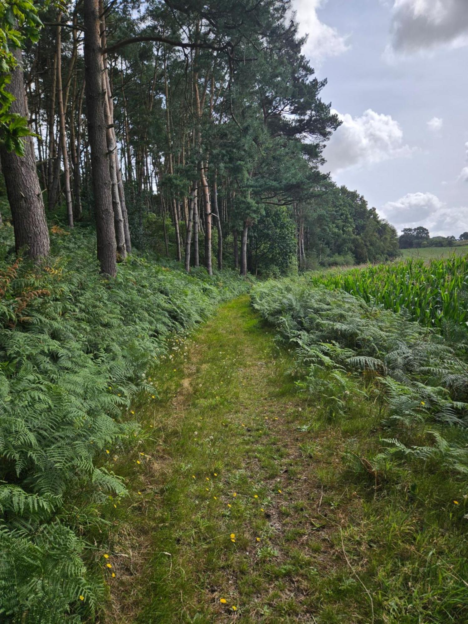Gite 9 Personnes Fecamp Etretat Colleville エクステリア 写真